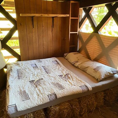 Resort Pod Orehi - Bled - Apartma & Glamping & Savna 외부 사진