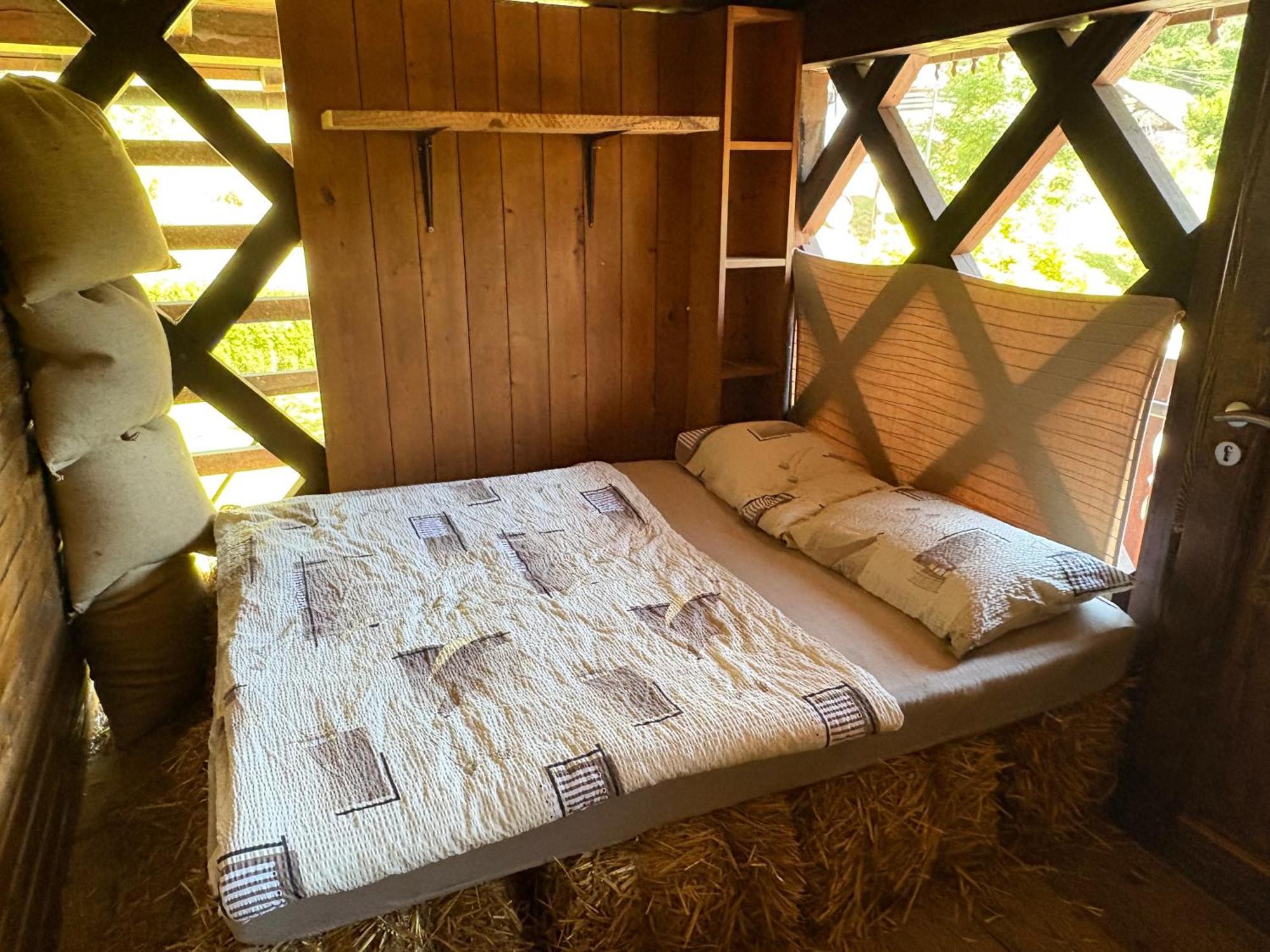 Resort Pod Orehi - Bled - Apartma & Glamping & Savna 외부 사진